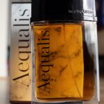 ادوپرفیوم مردانه مابوسین ایکولایز اصل فرانسه Mauboussin Aequalis