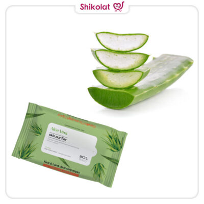 دستمال مرطوب بیول آلوئه ورا بسته 10 عددی Biol Aloe Vera Cleansing Wipes