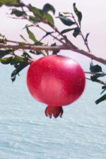 فوم و ماسک پاک کننده صورت 2 در 1 انرژی تابشی سوپر انار مغذی 125 میلی لیتر  استی لادر Estee Lauder شیکولات