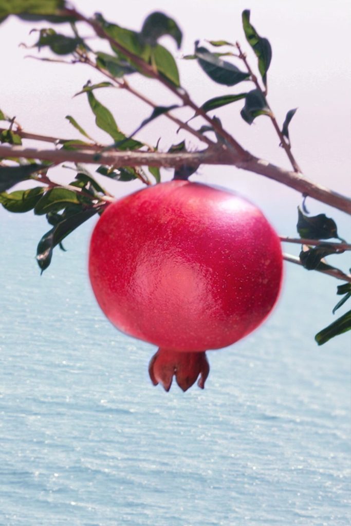 فوم و ماسک پاک کننده صورت 2 در 1 انرژی تابشی سوپر انار مغذی 125 میلی لیتر  استی لادر Estee Lauder شیکولات